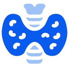 Urology Doctor