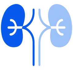 Urology Doctor