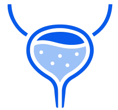 Urology Doctor